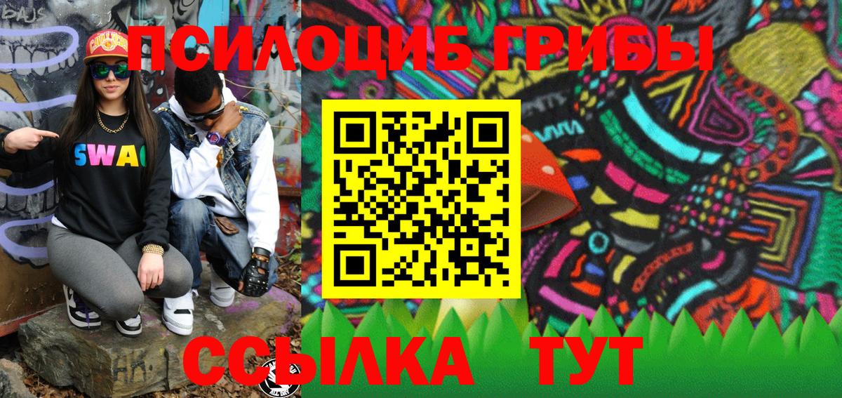 Псилоцибиновые грибы Cubensis Заинск