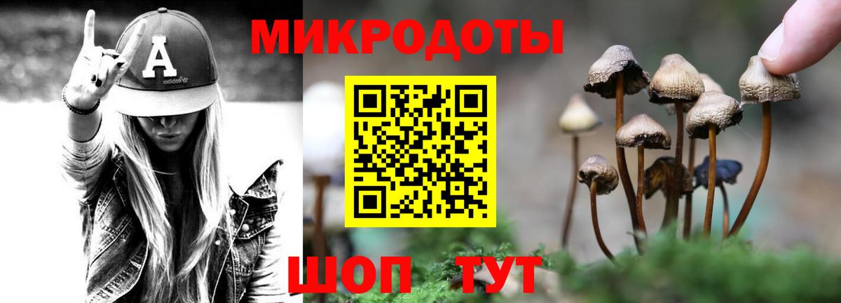 Галлюциногенные грибы MAGIC MUSHROOMS  Псилоцибиновые грибы MAGIC MUSHROOMS  Заинск  Вход с VPN 